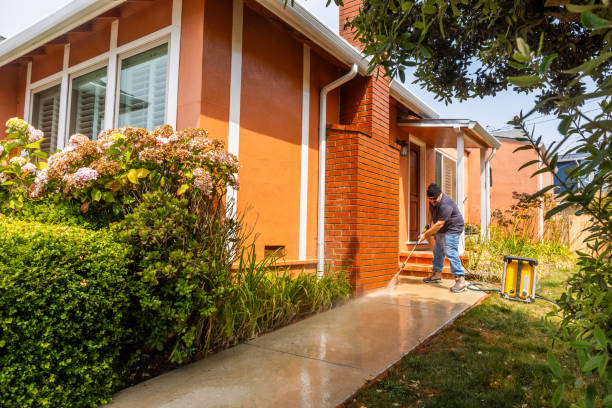 Best Local Pressure Washing Services  in Pinedale, WY